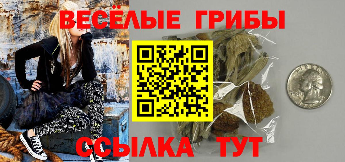 Галлюциногенные грибы Magic Shrooms  Вход с VPN  Новочеркасск 
